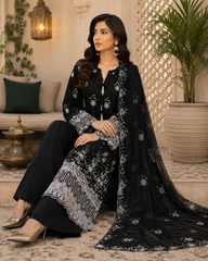 Elegant Black Embroidered Pakistani Salwar Kameez with Dupatta | Luxury 3 Piece Women’s Suit